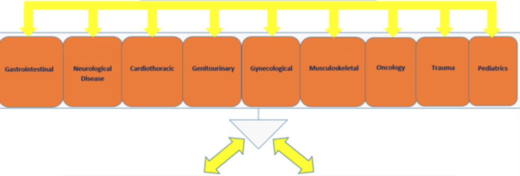 Automated CDI Queries - Insight Real-time Intelligence